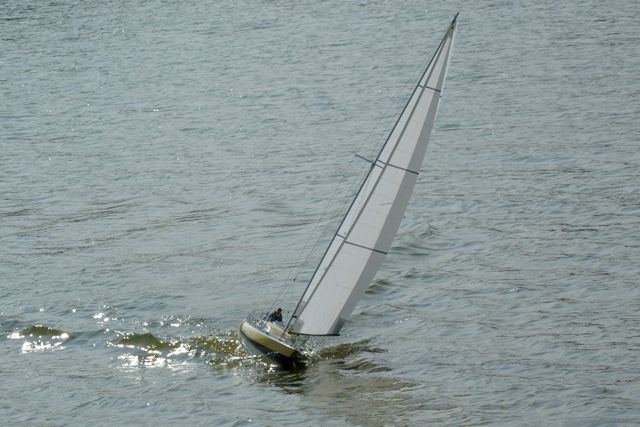 DSC09165 © Peter Taylor 2009