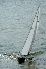 DSC09166 © Peter Taylor 2009