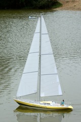 DSC06860 © Peter Taylor 2008