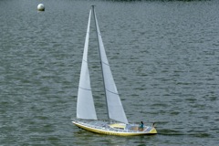 DSC01391 © Peter Taylor 2009
