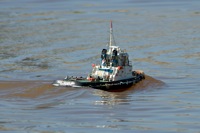 DSC04721 © Peter Taylor 2011