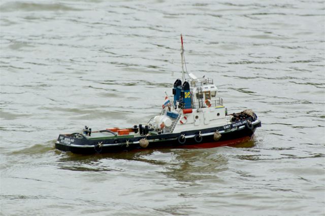 A100.70050503  © Peter Taylor 2007