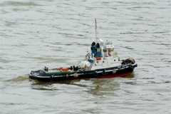 A100.70050503 © Peter Taylor 2007