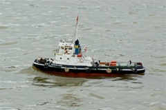 A100.70050504 © Peter Taylor 2007
