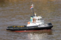DSC03837 © Peter Taylor 2011