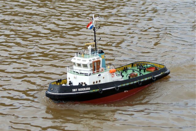 DSC01851 © Peter Taylor 2010