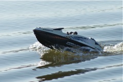 DSC03343 © Peter Taylor 2012