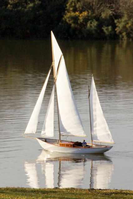 DSC02252 © Peter Taylor 2012