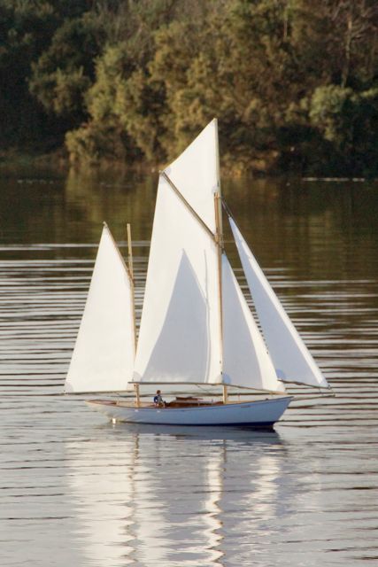 DSC02254 © Peter Taylor 2012