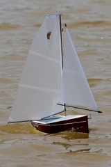 DSC01685 © Peter Taylor 2013
