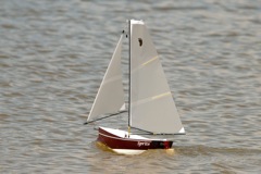 DSC01584 © Peter Taylor 2013