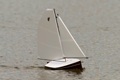 DSC01582 © Peter Taylor 2013