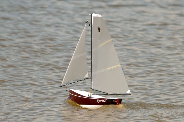 DSC01584 © Peter Taylor 2013