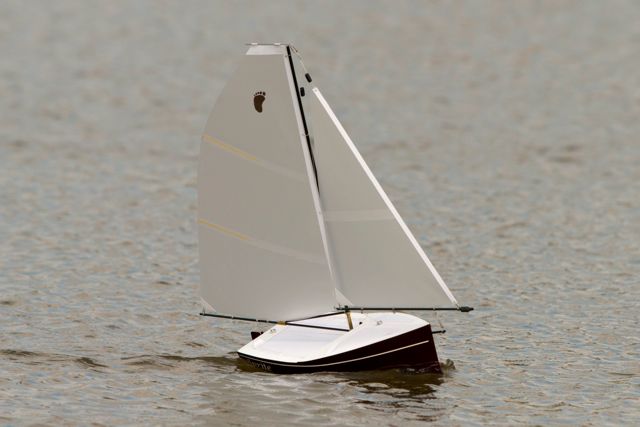 DSC01582 © Peter Taylor 2013