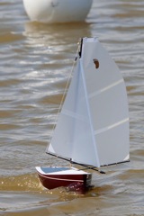 DSC01707 © Peter Taylor 2013