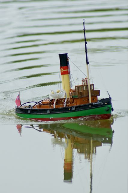 DSC01279 © Peter Taylor 2010