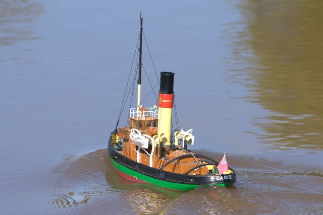 DSC05110 © Peter Taylor 2011