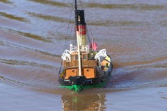 DSC05116 © Peter Taylor 2011