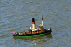DSC09356 © Peter Taylor 2009