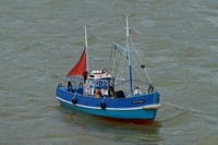 DSC01072 © Peter Taylor 2010