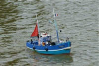 DSC01056 © Peter Taylor 2010