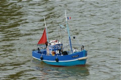 DSC01056 © Peter Taylor 2010