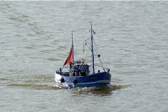  DSC07405 © Peter Taylor 2008