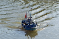 DSC07400 © Peter Taylor 2008