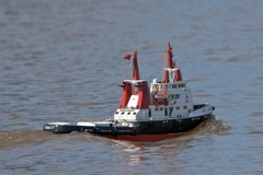 DSC04559 © Peter Taylor 2011