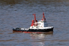 DSC04550 © Peter Taylor 2011