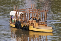 DSC07387 © Peter Taylor 2011