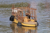 DSC07386 © Peter Taylor 2011