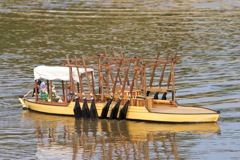 DSC07389 © Peter Taylor 2011