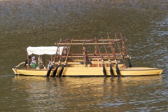 DSC07391 © Peter Taylor 2011