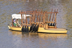 DSC07401 © Peter Taylor 2011