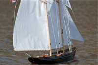 DSC04447  © Peter Taylor 2011