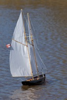 DSC04445 © Peter Taylor 2011
