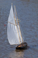 DSC04444 © Peter Taylor 2011
