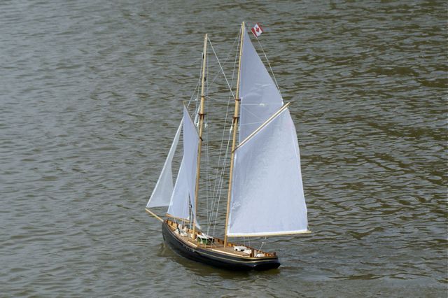 DSC03373 © Peter Taylor 2010