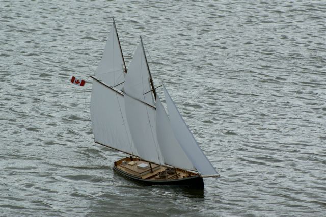 DSC03854 © Peter Taylor 2007