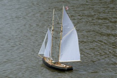 DSC03373 © Peter Taylor 2010