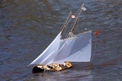 DSC05083 © Peter Taylor 2011