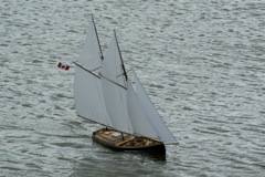 DSC03854 © Peter Taylor 2007