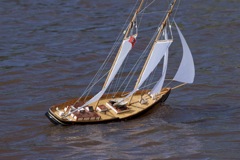 DSC05074 © Peter Taylor 2011