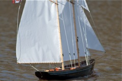 DSC04447 © Peter Taylor 2011