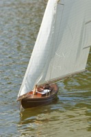 DSC00934 © Peter Taylor 2012