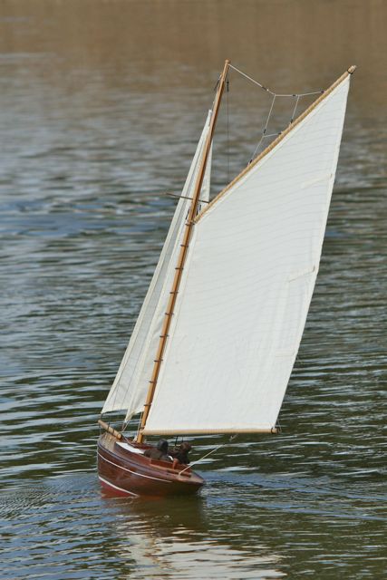 DSC00927 © Peter Taylor 2012