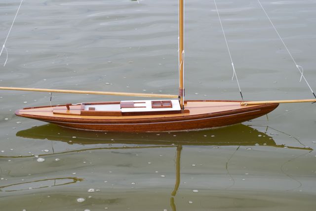 DSC04632 © Peter Taylor 2012