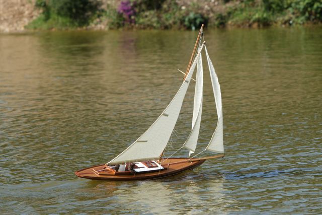 DSC00972 © Peter Taylor 2012