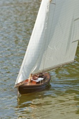 DSC00934 © Peter Taylor 2012